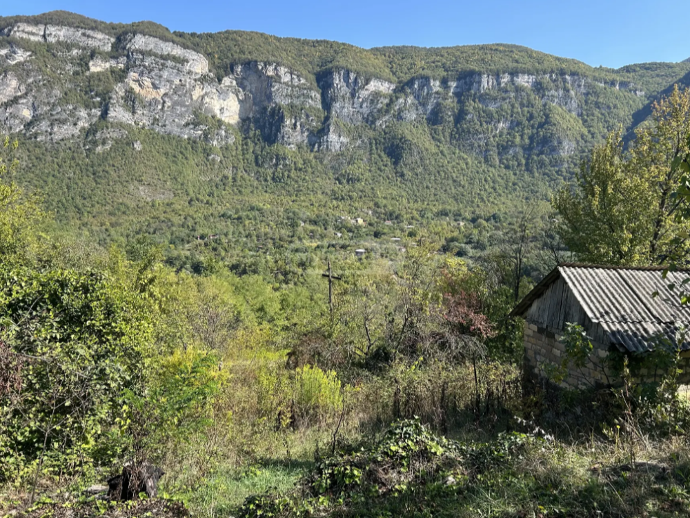 იყიდება სასოფლო-სამეურნეო მიწის ნაკვეთი ცაგერში